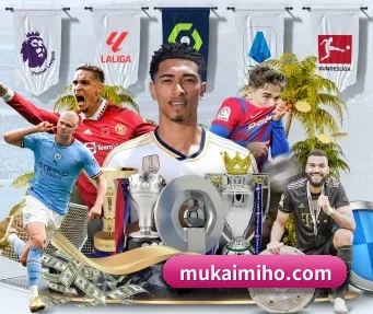 金年会网址 APP